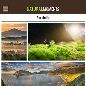 Natural Moments